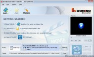 Domino FLV Video Converter screenshot